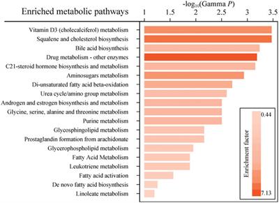 Plasma metabolomic profiling reveals factors associated with dose-adjusted trough concentration of tacrolimus in liver transplant recipients